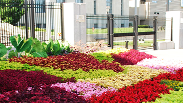 Commercial Landscaping