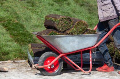 Sod Installation Sod Installation