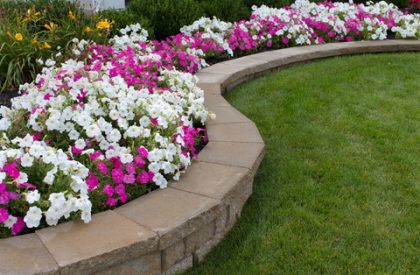 Commercial Seasonal Color Programs Commercial Seasonal Color Programs