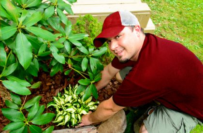 Man planting flowers